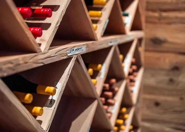 Mad Retreat فندق