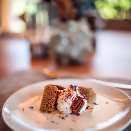 Mad Retreat * 넨다즈